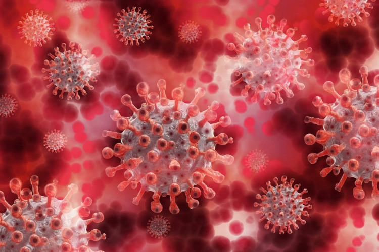ES registra 10 variantes de coronavírus mas sem presença da cepa indiana