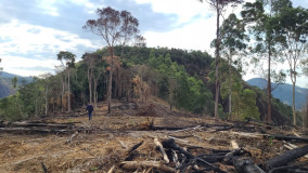Idaf identifica desmatamento em Reserva Legal em Rio Bananal