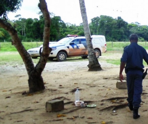 PM encontra carro depenado em plantação  de mamão na estrada do Pontal
